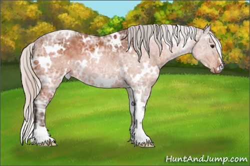 Horse Color:White Spotted Silver Bay Ice 
