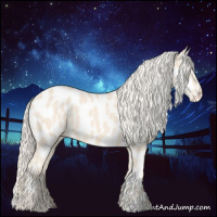 Horse Color:Cremello Appaloosa