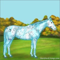 Horse Color:Thunderstruck Silver Blue Onyx Ice Tobiano Appaloosa