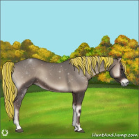 Horse Color:Void Painted Silver Blue Onyx