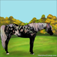 Horse Color:Void Nacre Silver Blue Onyx Splash Appaloosa 