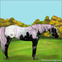 Horse Color:Void Watercolor Silver Blue Onyx Ice Splash