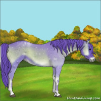 Horse Color:Void Watercolor Blue Onyx 
