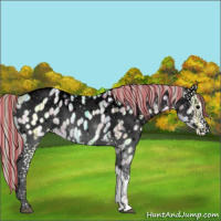 Horse Color:Void Painted White Spotted Silver Blue Onyx Ice Appaloosa 