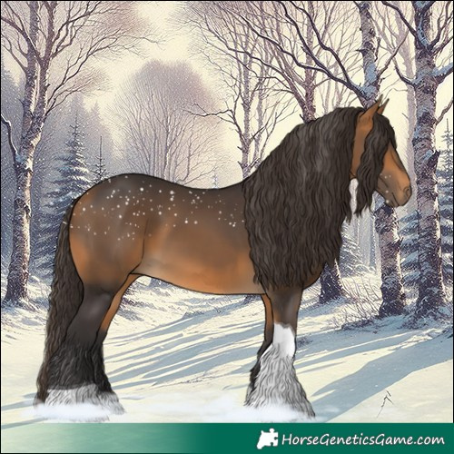 Horse Color:Buckskin Tobiano