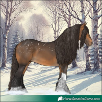 Horse Color:Buckskin Tobiano 