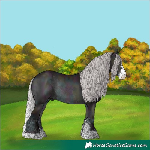 Horse Color:Midnight Chocolate Silver Brown Chinchilla Ice Onyx Sabino Rabicano 