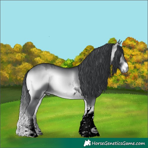 Horse Color:Void Brown Chinchilla Onyx Tobiano 