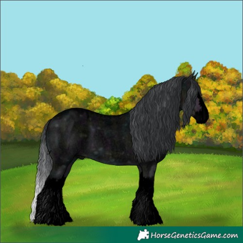 Horse Color:Void Midnight Brown Chinchilla Roan Dun Splash 