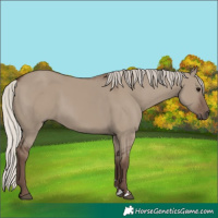 Horse Color:Silver Grullo 