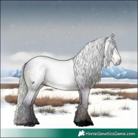 Horse Color:Gray Void Nacre Silver Buckskin