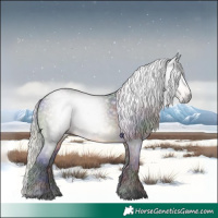 Horse Color:Gray Void Nacre Silver Buckskin 