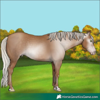 Horse Color:Gray Silver Classic Champagne 