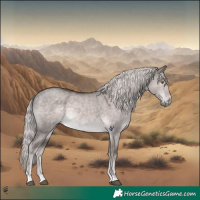 Horse Color:Platinum Chocolate Palomino Dun Rabicano 