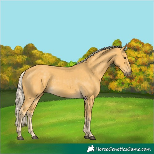 Horse Color:Palomino 