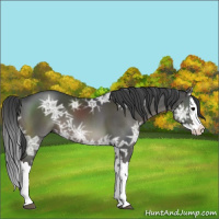 Horse Color:Black Ice Splash