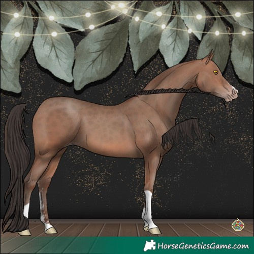 Horse Color:Sable Champagne Sabino Tobiano