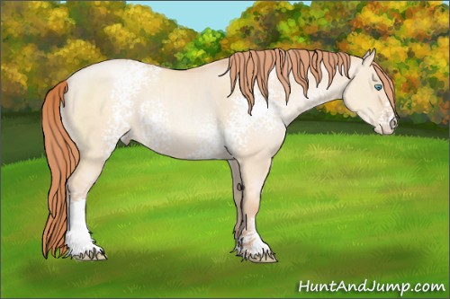 Horse Color:White Spotted Sable Champagne Pearl Dun 