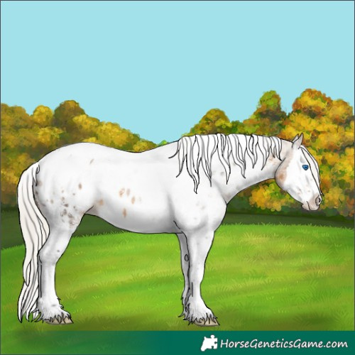 Horse Color:White Spotted Silver Buckskin Splash Tobiano Near Leopard