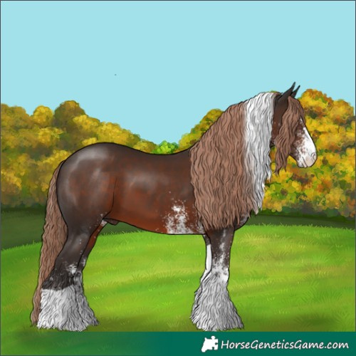 Horse Color:White Spotted Liver Chestnut Tobiano 