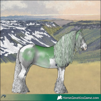 Horse Color:Silver Brown Chinchilla Dun Splash Tobiano 