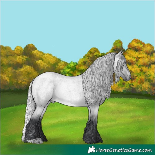 Horse Color:Silver Brown Chinchilla Roan Dun 