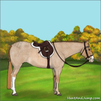 Horse Color:Red Roan Appaloosa