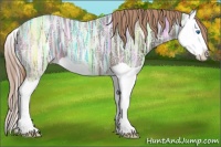 Horse Color:Liver Chestnut Ice Splash 