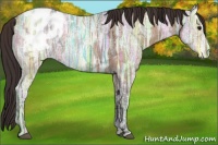 Horse Color:Buckskin Ice Roan Blanket 