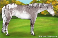 Horse Color:White Spotted Chocolate Silver Brown Chinchilla Snowflake Varnish 