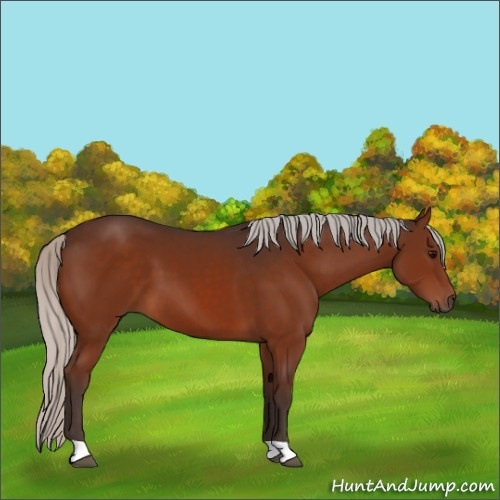 Horse Color:Silver Brown 