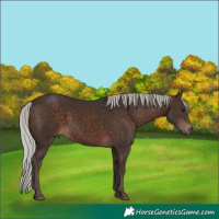 Horse Color:Silver Brown 