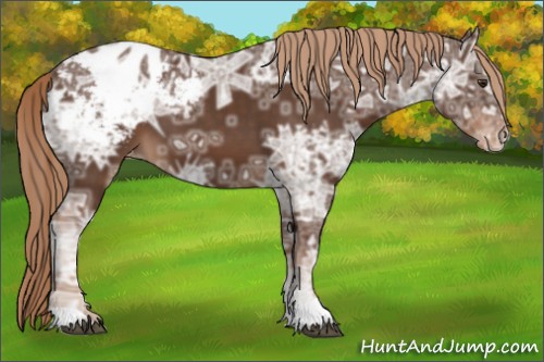 Horse Color:Liver Chestnut Ice Varnish