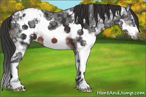 Horse Color:White Spotted Brown Ice Splash Frame Varnish 