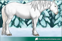 Horse Color:White Spotted Gold Cream Champagne Tobiano Appaloosa Rabicano 