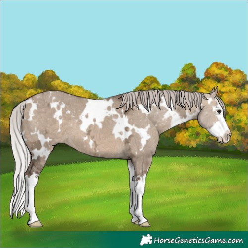 Horse Color:White Spotted Silver Brown Ice Dun Splash 
