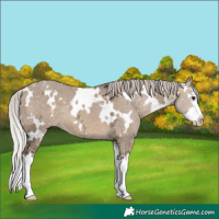 Horse Color:White Spotted Silver Brown Ice Dun Splash 