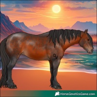 Horse Color:Brown 
