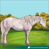 Horse Color:Watercolor Plaid White Spotted Gold Champagne Ice Pearl