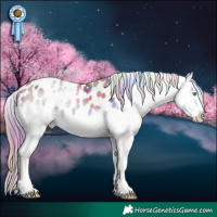 Horse Color:Nacre Watercolor White Spotted Buckskin Ice Pearl Splash Near Leopard 