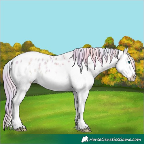 Horse Color:Nacre White Spotted Chocolate Palomino Ice Pearl Onyx Splash Leopard 