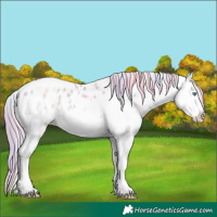 Horse Color:Nacre White Spotted Chocolate Palomino Ice Pearl Onyx Splash Leopard 