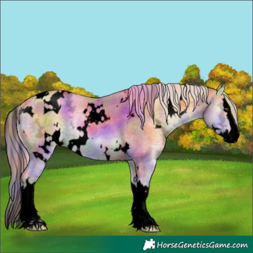 Horse Color:Void Nacre Plaid  White Spotted Gold Cream Champagne Ice Onyx Splash 