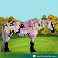Horse Color:Void Nacre Plaid  White Spotted Gold Cream Champagne Ice Onyx Splash 