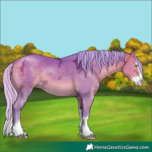 Horse Color:Watercolor Silver Sable Cream Champagne Ice Sabino Splash 