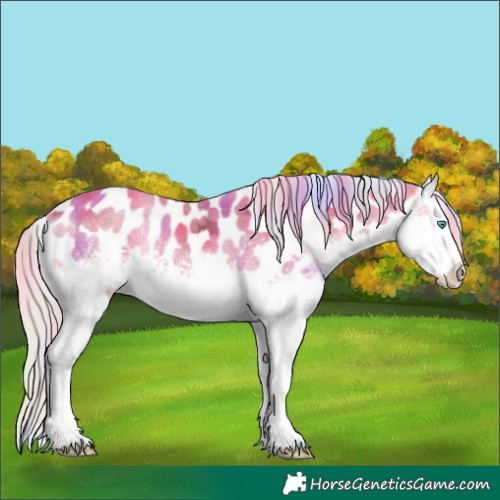 Horse Color:Nacre Watercolor White Spotted Silver Perlino Ice Onyx Splash Leopard