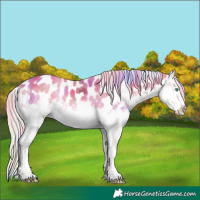 Horse Color:Nacre Watercolor White Spotted Silver Perlino Ice Onyx Splash Appaloosa