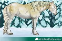 Horse Color:Watercolor Silver Sable Cream Champagne Ice Snowdrop Onyx Sabino