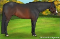 Horse Color:Brown Frame 