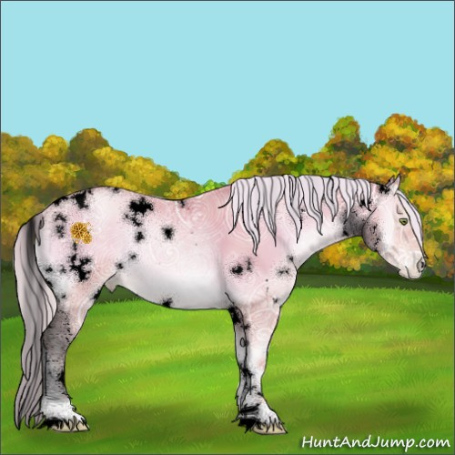 Horse Color:Void Watercolor White Spotted Chocolate Silver Amber Champagne Ice Pearl Onyx 